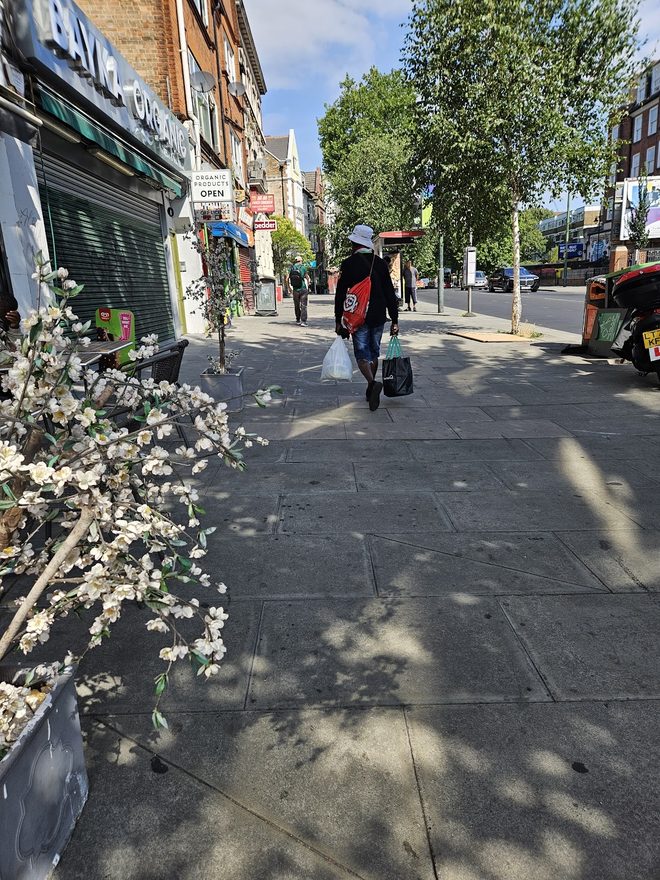Sunny West Norwood pavement with blossom in the foreground and a person walking down the street